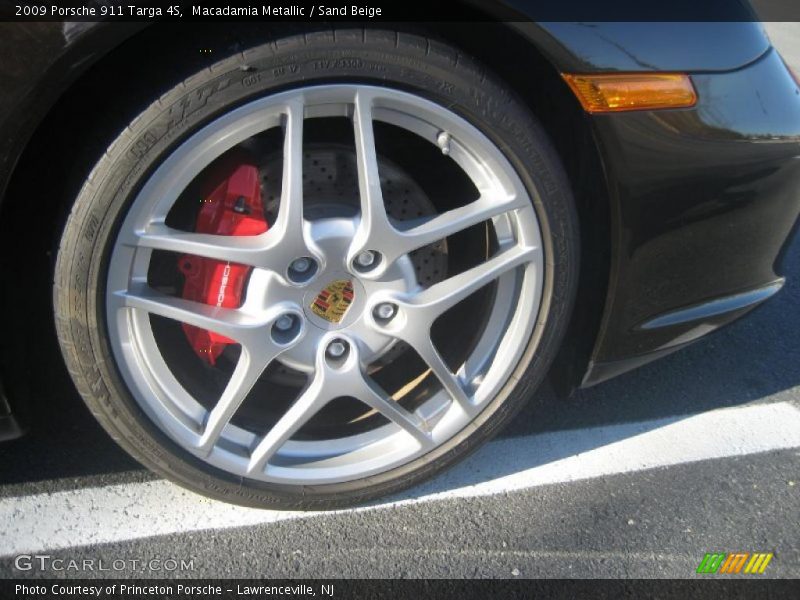  2009 911 Targa 4S Wheel