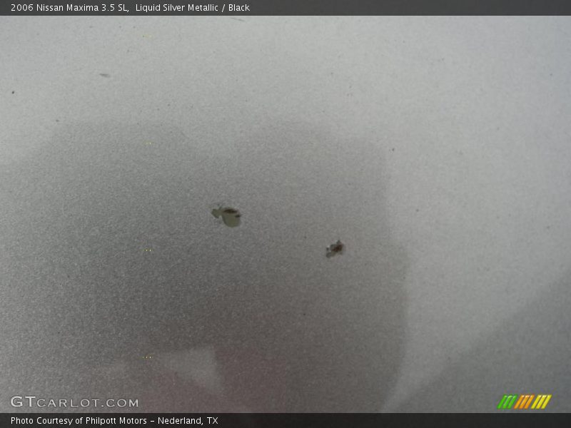Liquid Silver Metallic / Black 2006 Nissan Maxima 3.5 SL