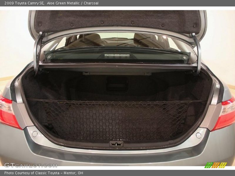 Aloe Green Metallic / Charcoal 2009 Toyota Camry SE