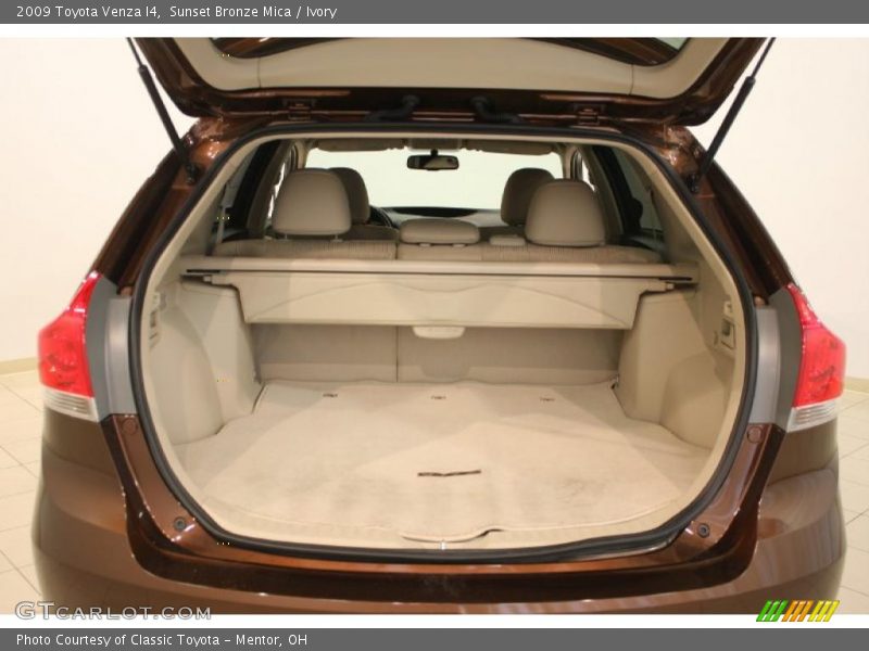  2009 Venza I4 Trunk