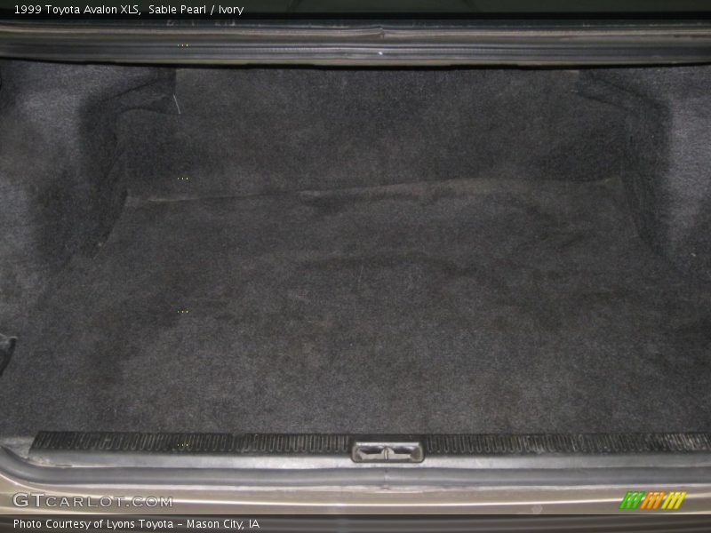 Sable Pearl / Ivory 1999 Toyota Avalon XLS