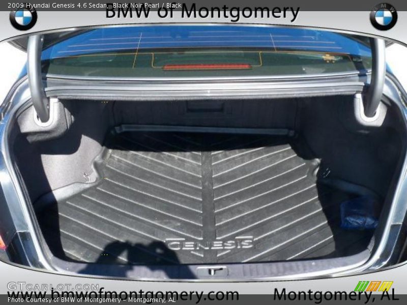 Black Noir Pearl / Black 2009 Hyundai Genesis 4.6 Sedan