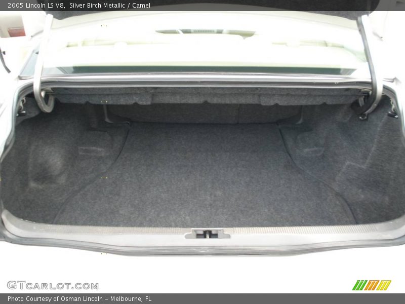 Silver Birch Metallic / Camel 2005 Lincoln LS V8