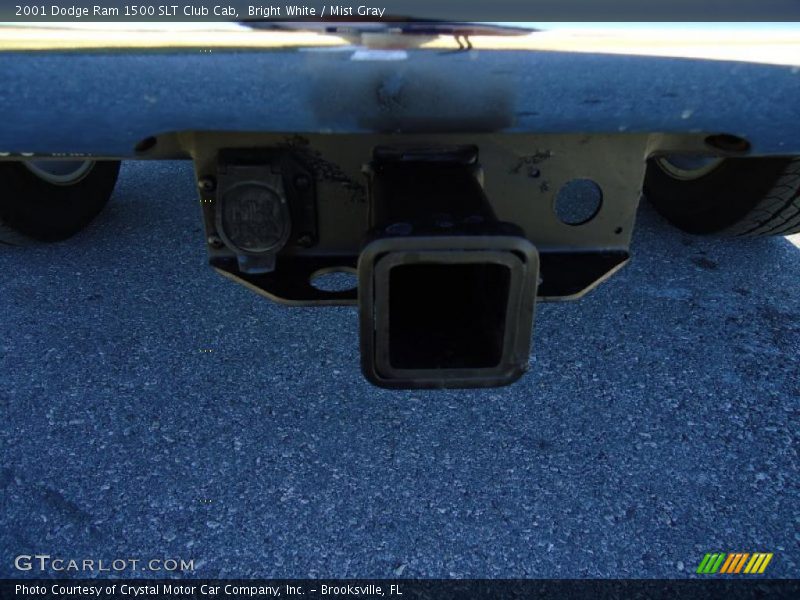 Bright White / Mist Gray 2001 Dodge Ram 1500 SLT Club Cab
