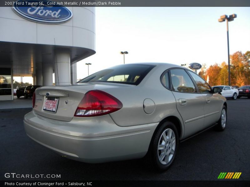 Gold Ash Metallic / Medium/Dark Pebble 2007 Ford Taurus SE