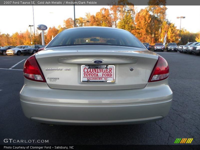 Gold Ash Metallic / Medium/Dark Pebble 2007 Ford Taurus SE