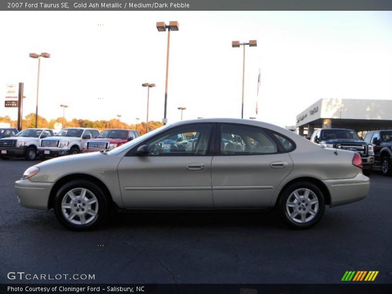 Gold Ash Metallic / Medium/Dark Pebble 2007 Ford Taurus SE