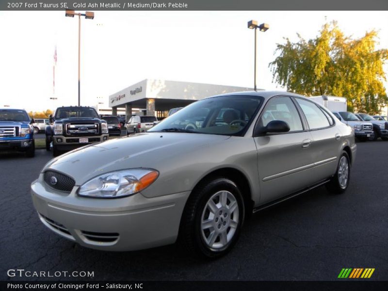 Gold Ash Metallic / Medium/Dark Pebble 2007 Ford Taurus SE
