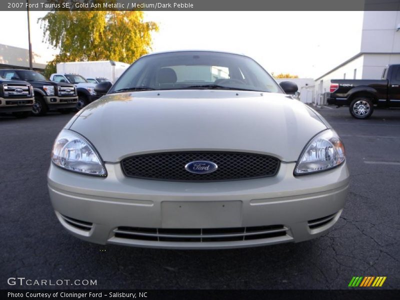Gold Ash Metallic / Medium/Dark Pebble 2007 Ford Taurus SE