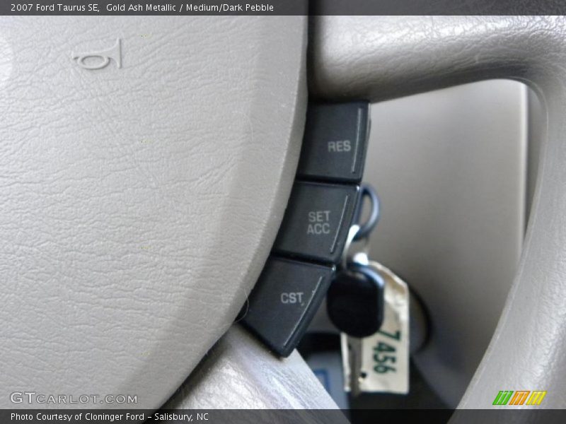 Gold Ash Metallic / Medium/Dark Pebble 2007 Ford Taurus SE