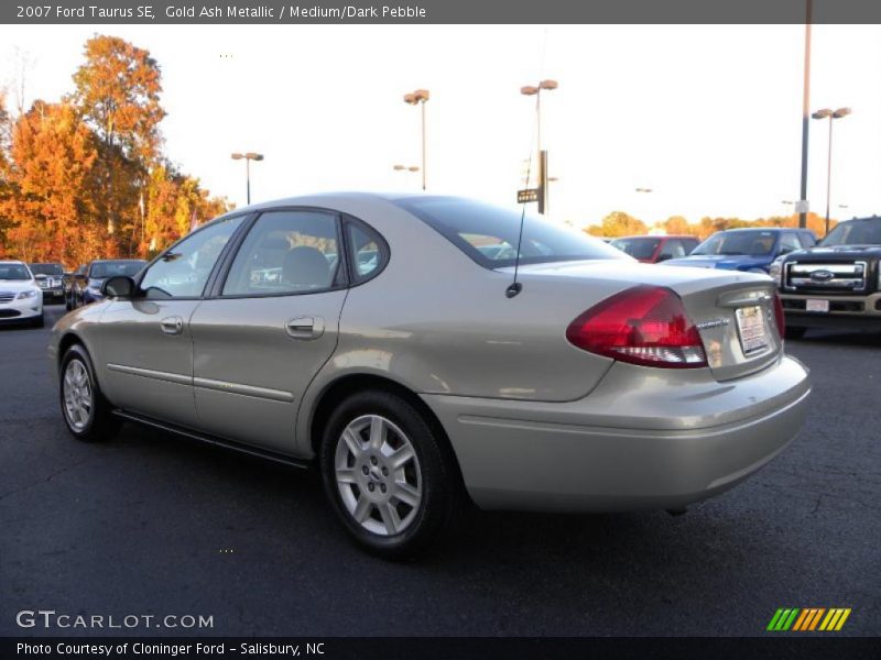 Gold Ash Metallic / Medium/Dark Pebble 2007 Ford Taurus SE