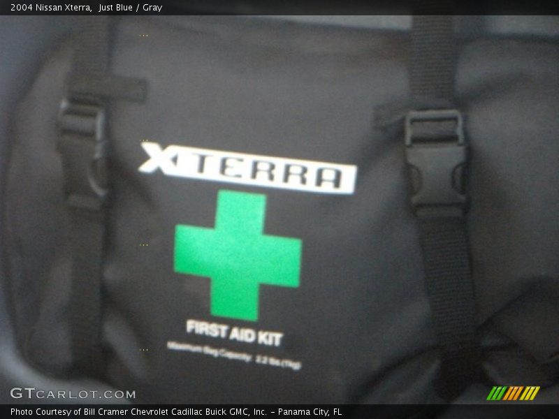Just Blue / Gray 2004 Nissan Xterra