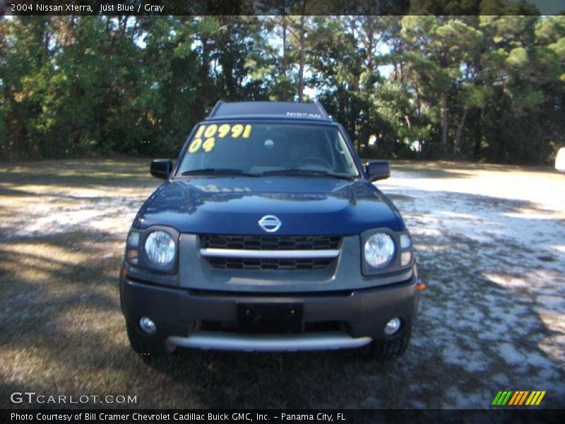 Just Blue / Gray 2004 Nissan Xterra