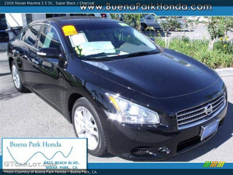 Super Black / Charcoal 2009 Nissan Maxima 3.5 SV