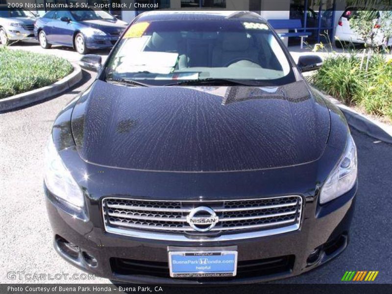 Super Black / Charcoal 2009 Nissan Maxima 3.5 SV