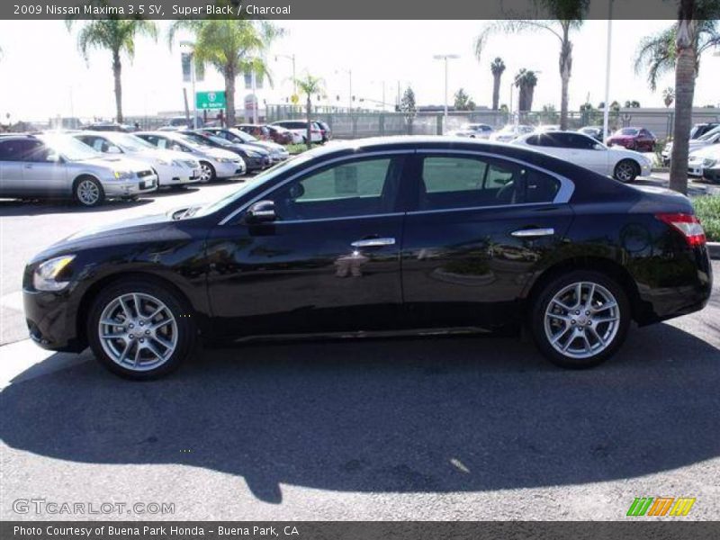 Super Black / Charcoal 2009 Nissan Maxima 3.5 SV