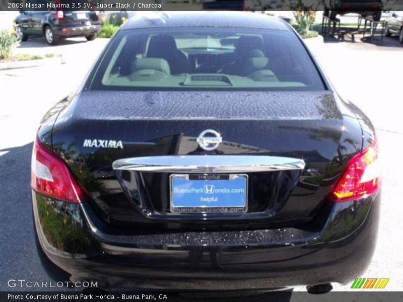 Super Black / Charcoal 2009 Nissan Maxima 3.5 SV