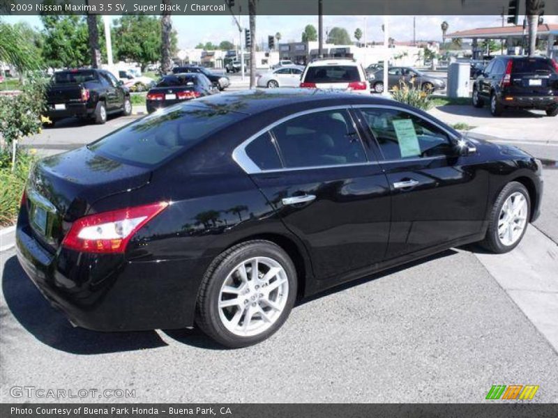 Super Black / Charcoal 2009 Nissan Maxima 3.5 SV