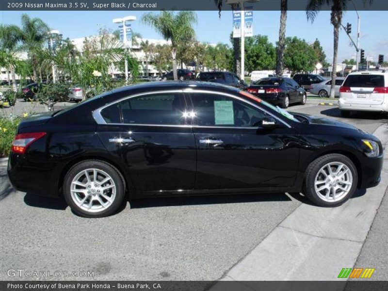 Super Black / Charcoal 2009 Nissan Maxima 3.5 SV