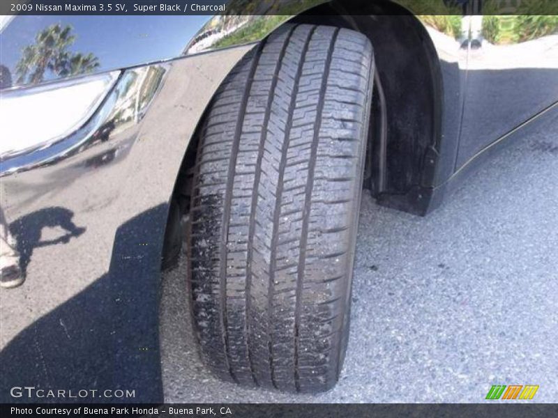 Super Black / Charcoal 2009 Nissan Maxima 3.5 SV