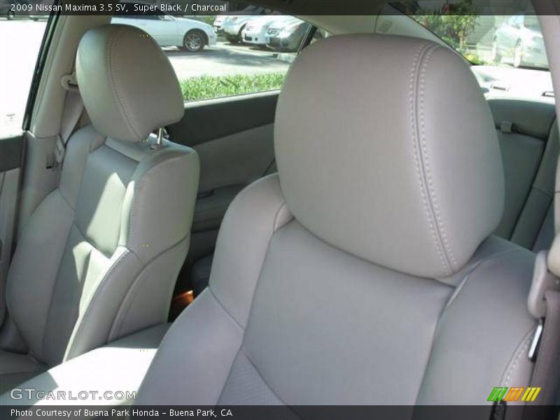 Super Black / Charcoal 2009 Nissan Maxima 3.5 SV