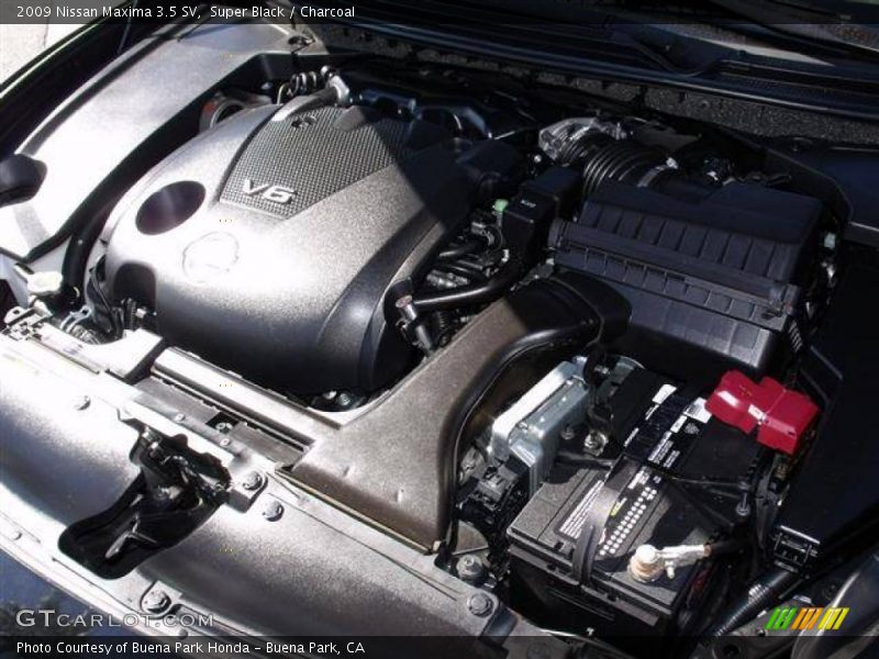 Super Black / Charcoal 2009 Nissan Maxima 3.5 SV