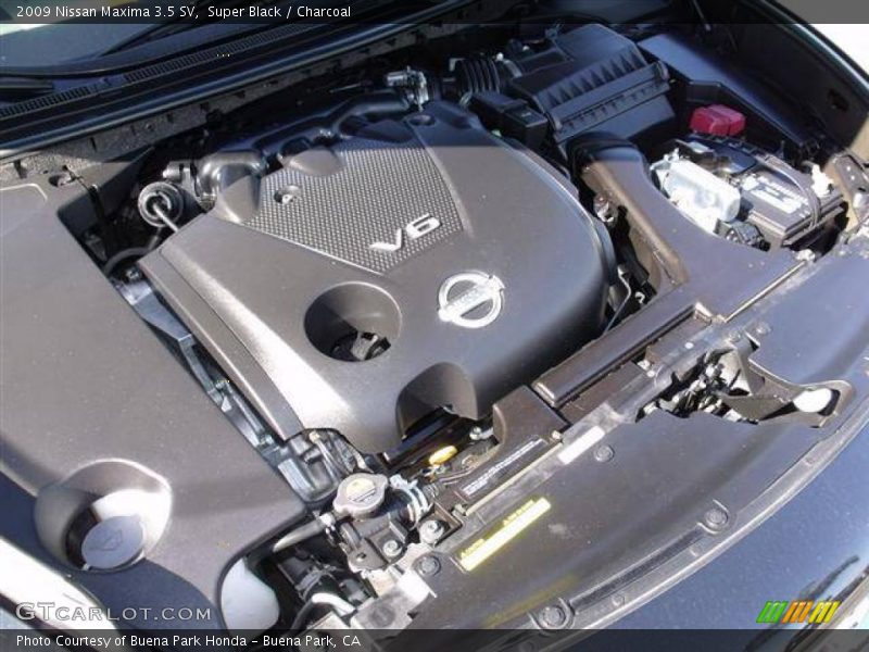 Super Black / Charcoal 2009 Nissan Maxima 3.5 SV