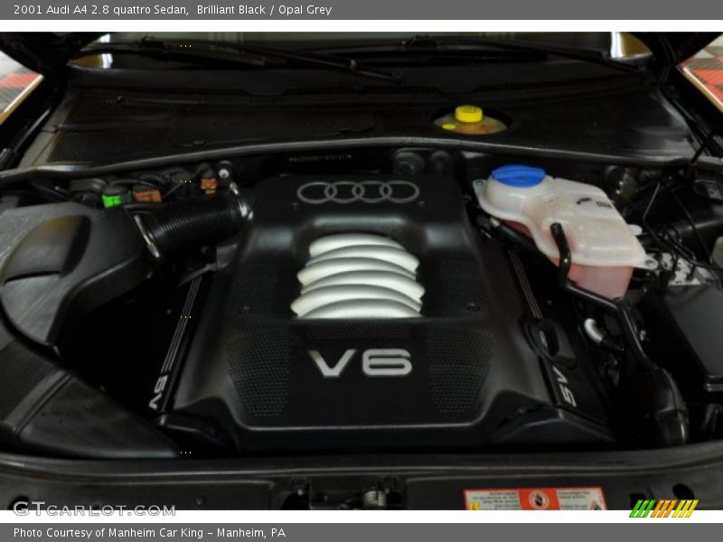  2001 A4 2.8 quattro Sedan Engine - 2.8 Liter DOHC 30-Valve V6