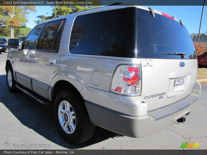 Silver Birch Metallic / Flint Grey 2003 Ford Expedition XLT