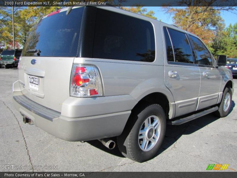Silver Birch Metallic / Flint Grey 2003 Ford Expedition XLT