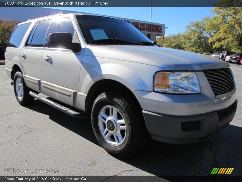 Silver Birch Metallic / Flint Grey 2003 Ford Expedition XLT