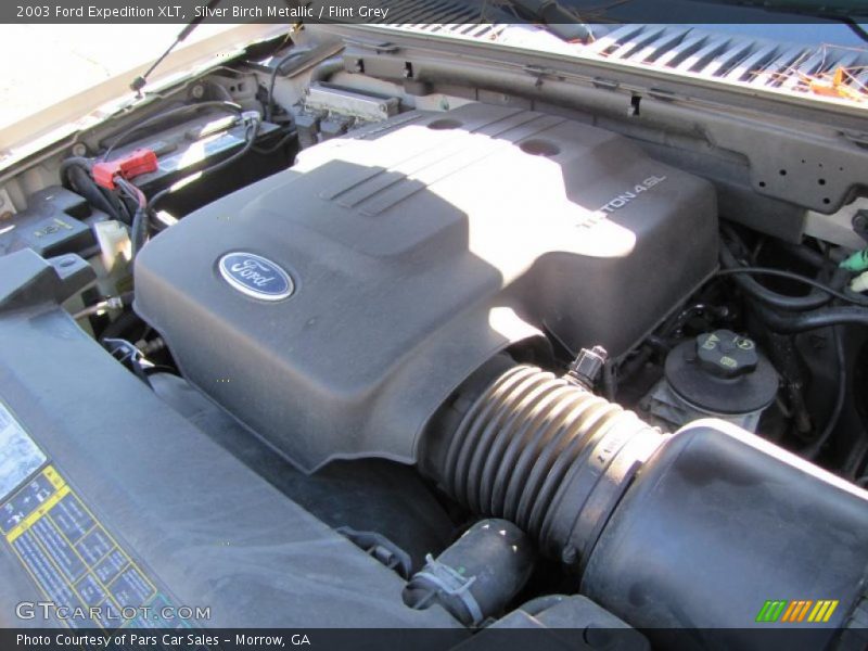 Silver Birch Metallic / Flint Grey 2003 Ford Expedition XLT
