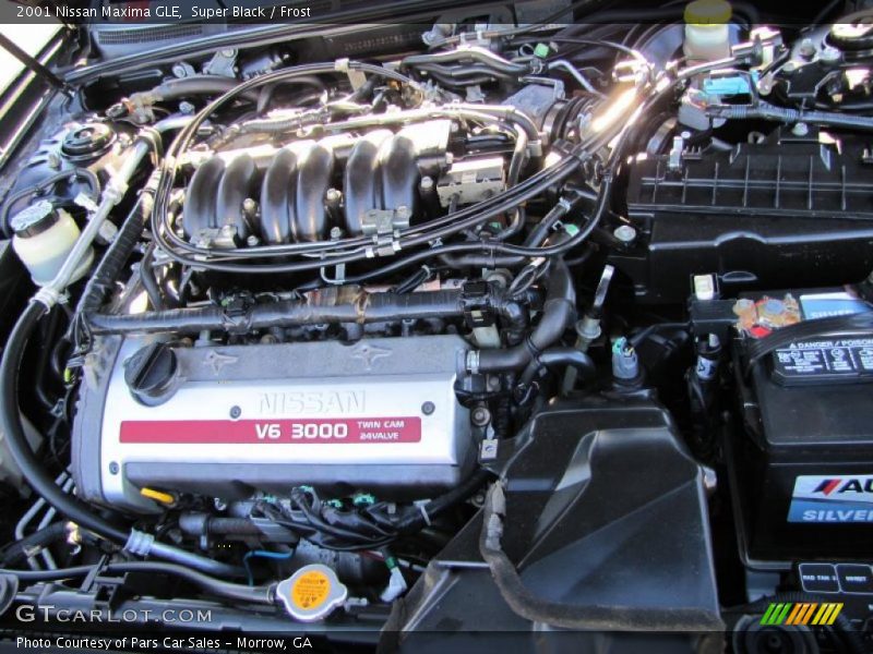 Super Black / Frost 2001 Nissan Maxima GLE