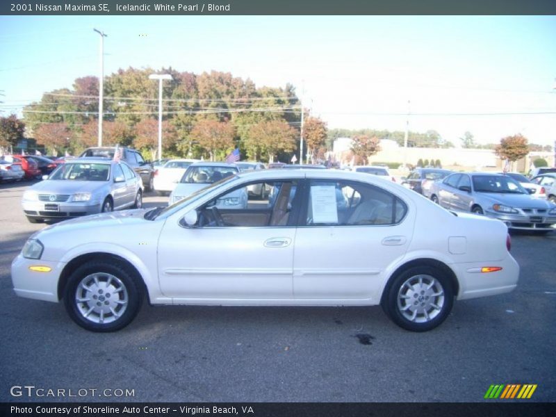 Icelandic White Pearl / Blond 2001 Nissan Maxima SE