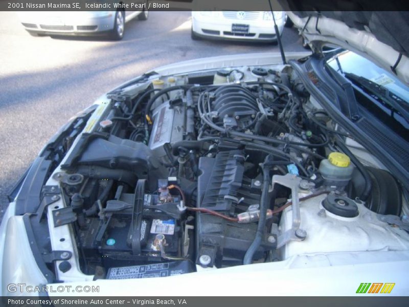 Icelandic White Pearl / Blond 2001 Nissan Maxima SE