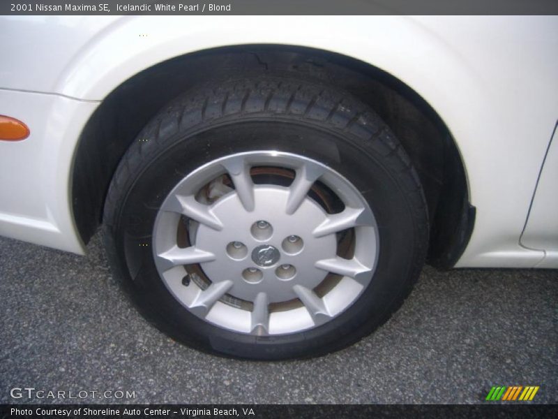 Icelandic White Pearl / Blond 2001 Nissan Maxima SE