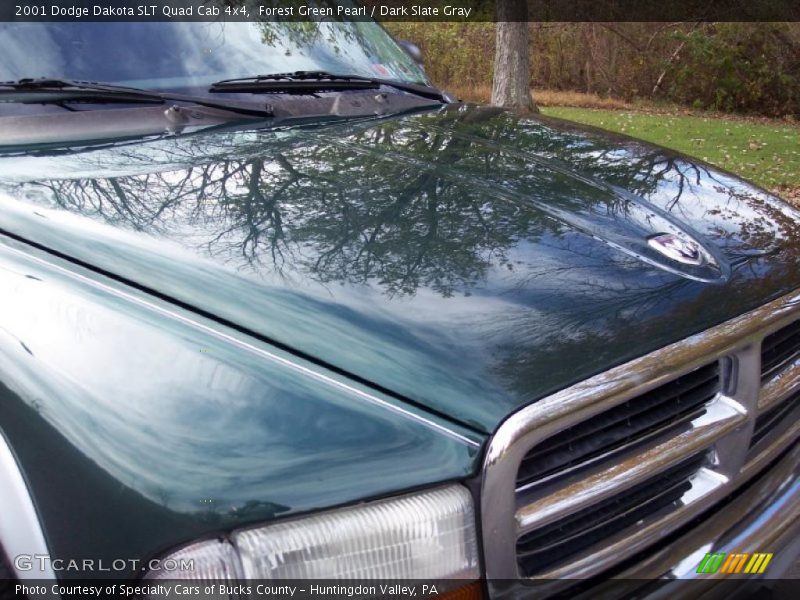 Forest Green Pearl / Dark Slate Gray 2001 Dodge Dakota SLT Quad Cab 4x4