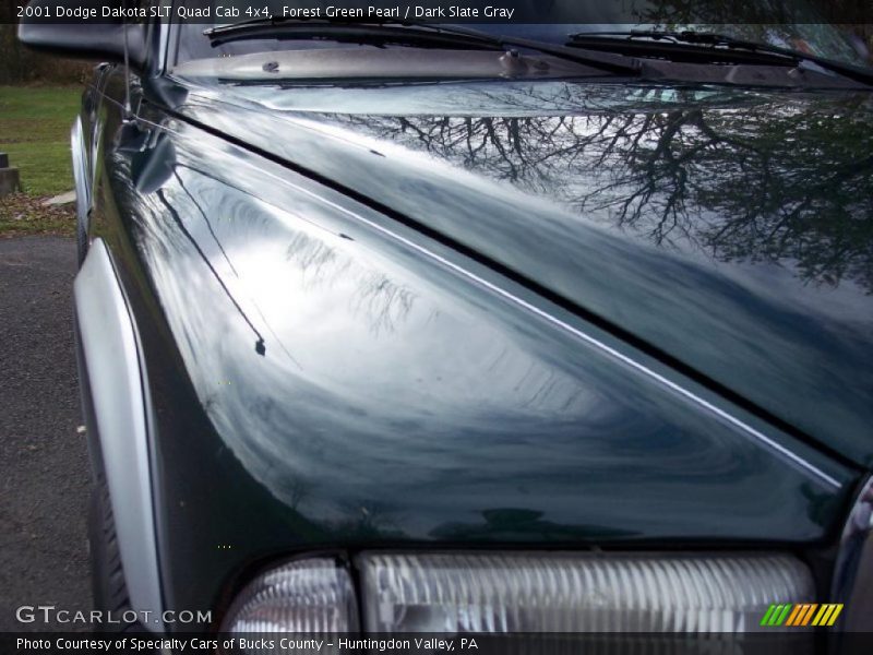 Forest Green Pearl / Dark Slate Gray 2001 Dodge Dakota SLT Quad Cab 4x4
