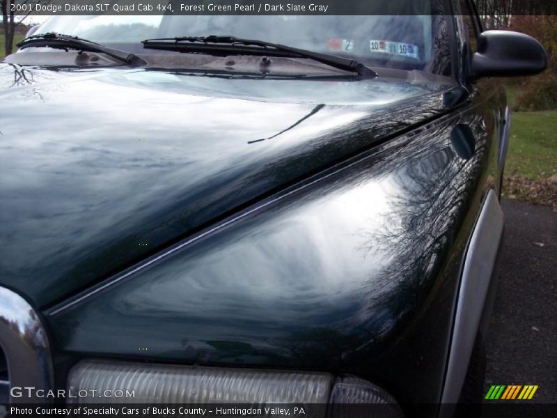 Forest Green Pearl / Dark Slate Gray 2001 Dodge Dakota SLT Quad Cab 4x4