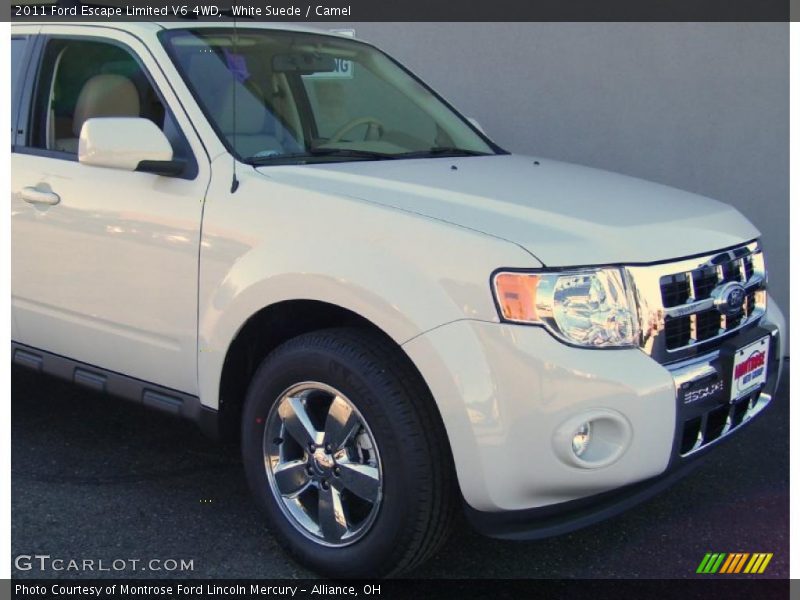 White Suede / Camel 2011 Ford Escape Limited V6 4WD