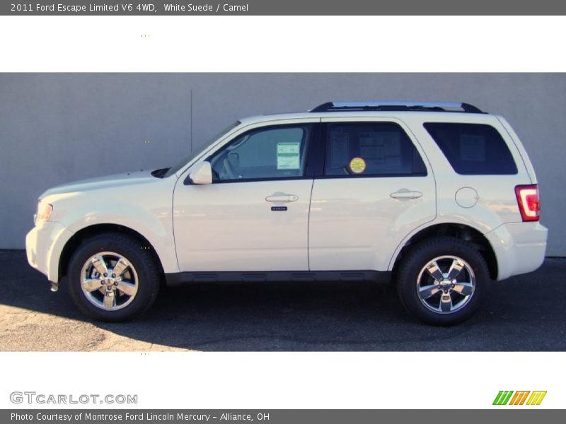 White Suede / Camel 2011 Ford Escape Limited V6 4WD