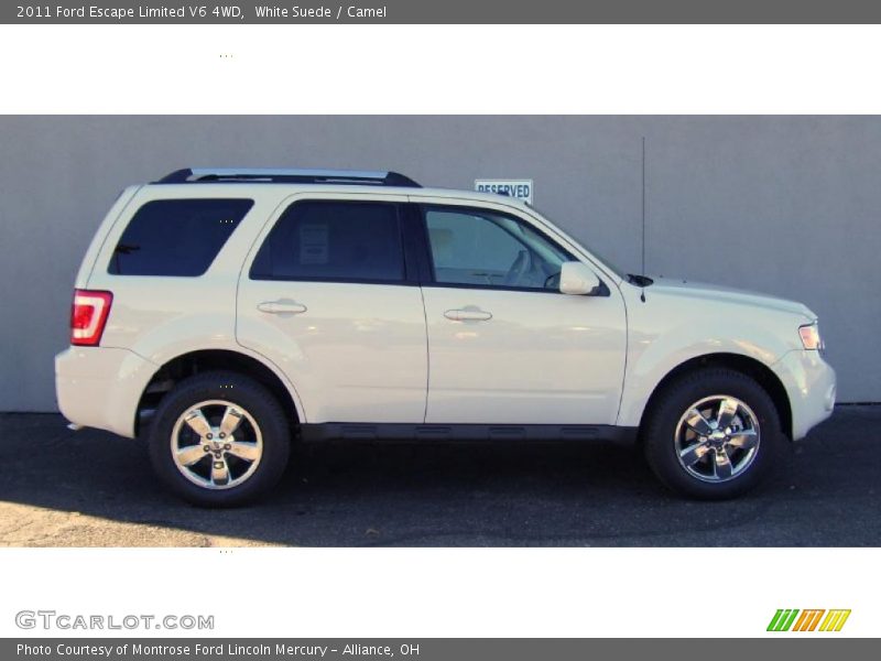 White Suede / Camel 2011 Ford Escape Limited V6 4WD