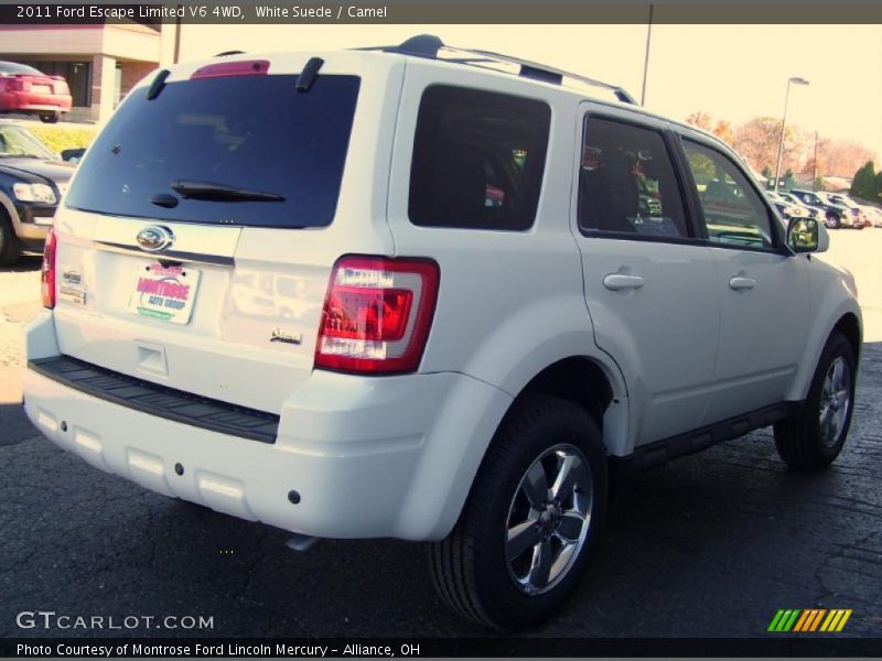 White Suede / Camel 2011 Ford Escape Limited V6 4WD