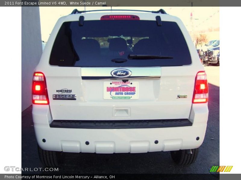 White Suede / Camel 2011 Ford Escape Limited V6 4WD