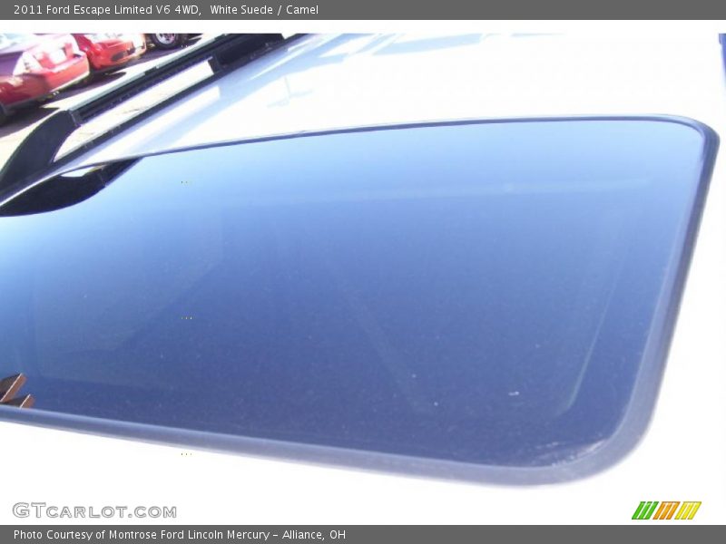 White Suede / Camel 2011 Ford Escape Limited V6 4WD