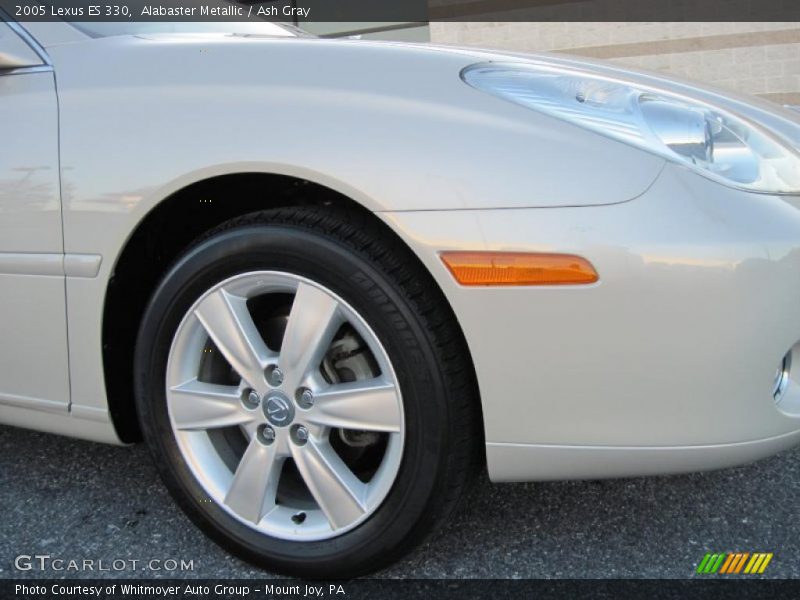 Alabaster Metallic / Ash Gray 2005 Lexus ES 330
