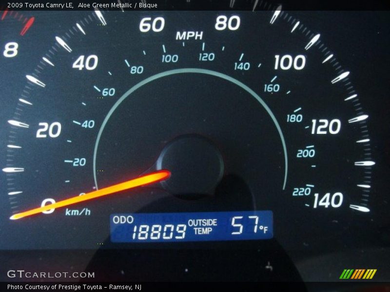 Aloe Green Metallic / Bisque 2009 Toyota Camry LE