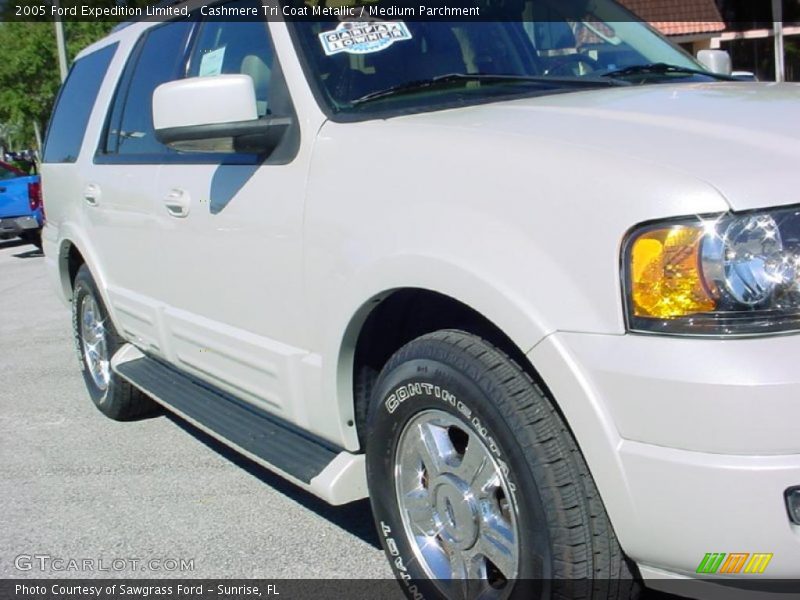 Cashmere Tri Coat Metallic / Medium Parchment 2005 Ford Expedition Limited