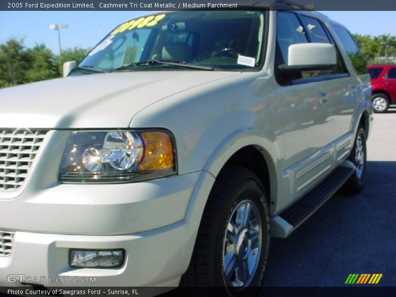 Cashmere Tri Coat Metallic / Medium Parchment 2005 Ford Expedition Limited