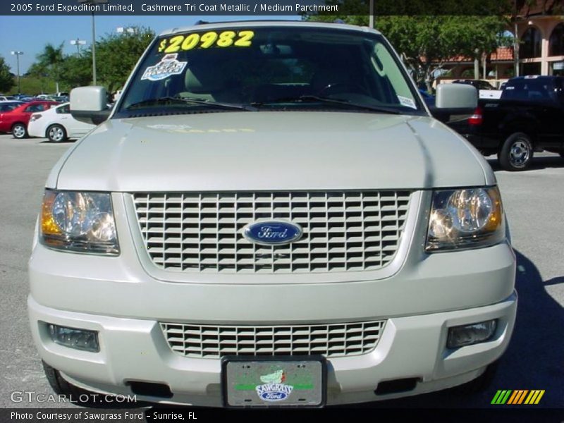 Cashmere Tri Coat Metallic / Medium Parchment 2005 Ford Expedition Limited